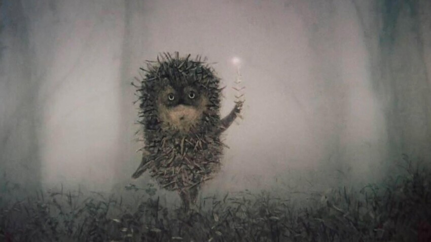 Erizo en la niebla