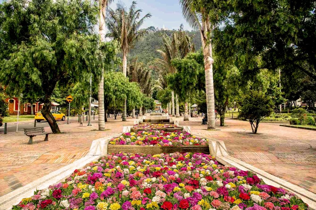 Canto del río una activación de Asocolflores